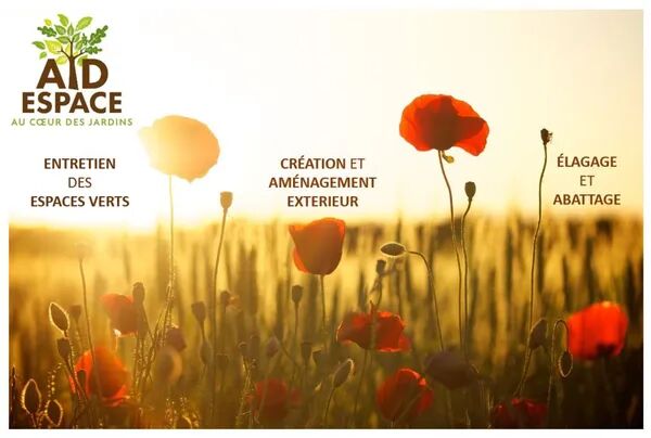 Présentation de la société