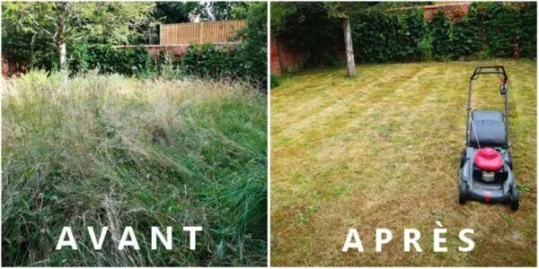 Remise en état de jardin