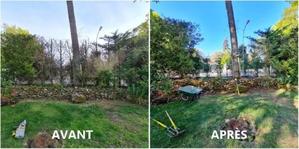 Remplacement d'une haie - Nozay