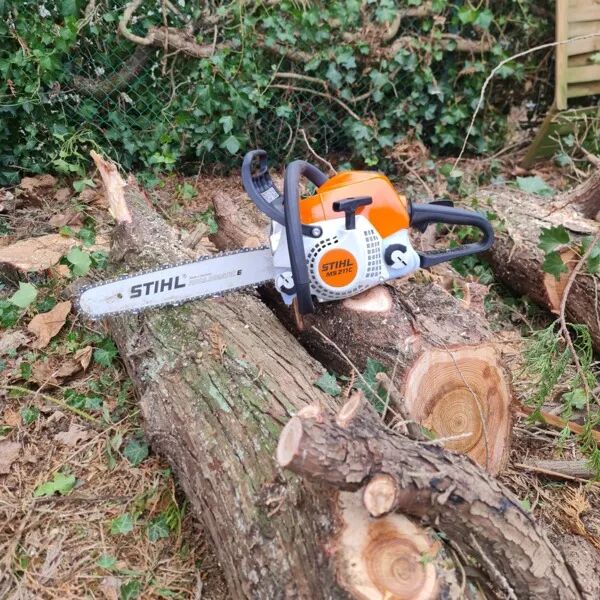 Elagage/Abattage/Dessouchage 