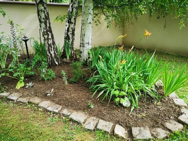 Nettoyage de massifs - Désherbage 