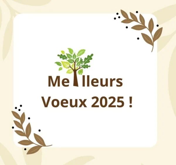 Meilleurs Voeux 2025