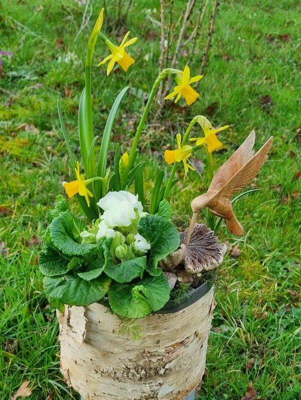 Compositions florales