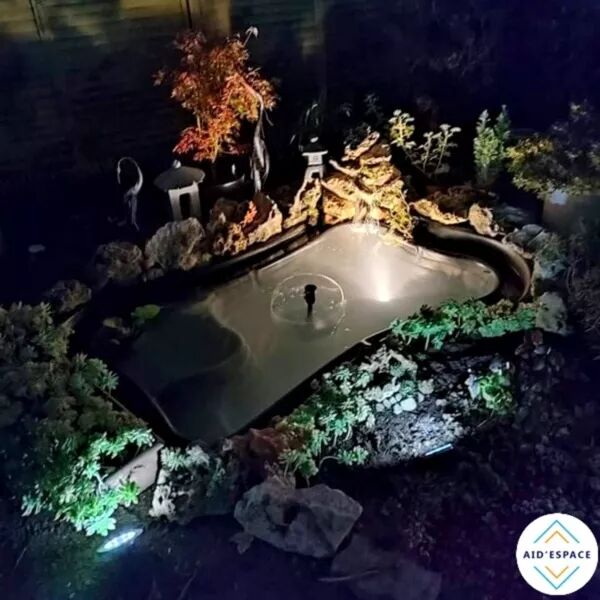 Création d'un bassin - Athis Mons